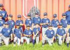 Olney Little Leagues