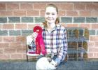 Young County Jr. Livestock Highlights 2020