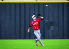 Cub Baseball and Lady Cub Softball District Honors