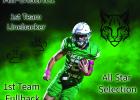 Congratulations, All-District Bobcats! 