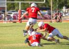 Red vs. White, Panther scrimmages ready Cubs for the season