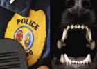 Graham PD apprehends pirate radio on police channel