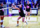 A Ladycat’s quick reflexes saves a kill shot. Photo by Will Sadler