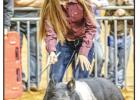 Young County Jr. Livestock Highlights 2020