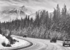 Thanksgiving Travel Safety Tips
