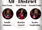 Lady Cubs District Honors