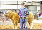 Young County Jr. Livestock Highlights 2020