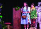Wizard of Oz Spotted in Newcastle