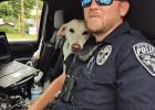Officer Clayton Morris and his K-9 partner Oakley turned in an outstanding performance at their first United States Police Canine Association (USPCA) trials. Despite still being in training and not yet fully certified, this rookie duo went head-to-head wi