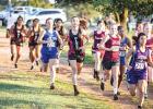 X-Country Cubs Meet at