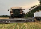 Rain delays harvest