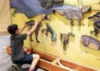 A young visitor to the Dinosaur Revolution tries assembling a dinosaur at one of the hands-on exhibits at the Dinosaur Revolution at The Old Post Office in Graham. Photo provided by The Old Post Office
