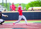 Cubs vs. Muenster Hornets Bi-District Playoff end of season loss