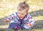 The Refuge Easter Egg Hunt