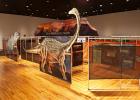 The Dinosaur Revolution exhibition, an interactive experience for kids and adults, will be at The Old Post Office in Graham from Aug. 9 through Oct. 25. Photo provided by The Old Post Office