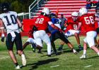 The Cub defense is on the prowl this season with a swarm mentality. Photo by Will Sadler