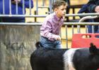Youth Shine at the 2022 Junior Live Stock Show
