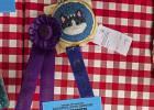 Jessa Branum, Olney 4-H Intermediate Division Grand Champion Creative Arts Textiles. Photo by Will Sadler