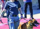 K9 Bond wins at Abilene