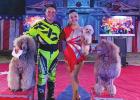Young County Visited By the Evangelistic Drive-in Circus