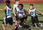 Newcastle flag football