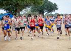 The Olney Invitational Cross Country Meet has grown bigger each year as word spreads about the OHS course at the Olney Country Club. The varsity boys bolted past spectators fast enough to be missed if you blinked. OHS Cubs Jaxxon Laurent and Wesley Symank