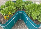 Organic gardeners reap healt