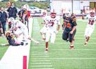 Cubs vs. Petrolia Pirates