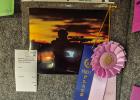 Marlee Lane, Olney FFA Senior Division Reserve Grand Champion Creative Art Photography Shadow and Silhouette Photo by Will Sadler