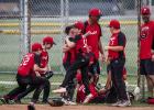 The 10U Olney Cubs celebrate after claiming the 2025 Championship title! Way to go, Cubs! Photo by Will Sadler
