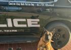 K9 Bond wins at Abilene
