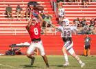 Red vs. White, Panther scrimmages ready Cubs for the season