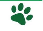 NJH Bobcats End Season with Championship Game in New Gym