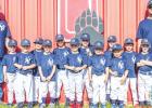 Olney Little Leagues