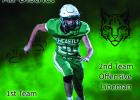 Congratulations, All-District Bobcats! 