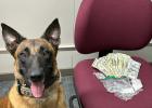 Olney PD drug squad pulls off holiday busts