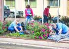 Ladies of the Junior Altruistic Club worked on flower beds around Olney recently to help beautify downtown Olney. Photo by Will Sadler