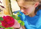 Stop and Smell the Roses