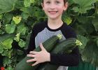 Organic gardeners reap healt