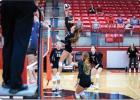 Lady Cubs Volleyball division opener
