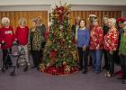 Amity Club celebrates Christmas