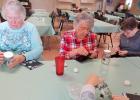 Senior Cub Center hosts spaghetti lunch fundraiser