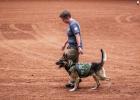 Cpl. Wright, K9 Bond compete in Wichita Falls