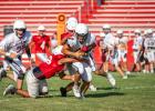 Red vs. White, Panther scrimmages ready Cubs for the season