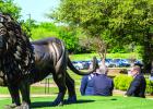 Local foundation honored at Waxahachie college