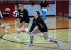 Lady Cubs Volleyball division opener