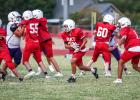 OJH Cub offensive line stands the Plowboy defense straight up, trying to hold them up while the Cub backfield has plenty of time to eye a route to the end zone. Photo by Will Sadler