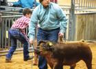 Youth Shine at the 2022 Junior Live Stock Show