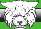 Newcastle Bobcats New Year. New Team.