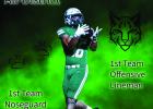 Congratulations, All-District Bobcats! 